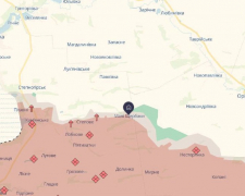Відновлено контроль над Малими Щербаками - ЗСУ підняли український прапор над селом (відео)