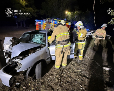 У Запоріжжі водій врізався в електроопору - рятувальники деблокували його з понівеченого авто (фото)