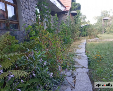 Коли і навіщо біля Запорізького дубу побудували музейний комплекс - фото