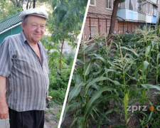 У Запоріжжі переселенець перетворив пустир на квітучий город (фото)