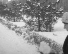Біла та пухнаста: якою була зима в Запоріжжі 60 років тому - фото