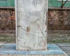 У Запоріжжі з території школи прибрали пам'ятник російському поету - фото