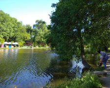 Милі пташенята та затоплені атракціони: як виглядає центральний парк Запоріжжя в перші дні червня