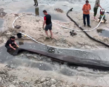 Унікальна знахідка: на Хортиці виявили старовинний човен з таємничими символами - фото
