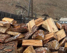 Мобілізовані буряти в Запорізькій області попросили дрова для родичів
