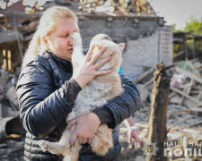 Після чергового обстрілу КАБами у Запоріжжі врятували котів з-під завалів - що з ними зараз