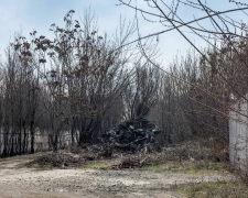 Сміттєва гора: у Запоріжжі інспектори натрапили на стихійне звалище у промзоні (фото)