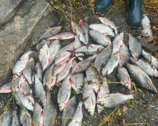 Захопились рибалкою - у Запоріжжі троє чоловіків перевищили дозволену норму вилову (фото, відео)