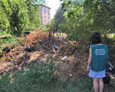 У центрі Запоріжжя біля багатоповерхівки виявили стихійне сміттєзвалище (фото)