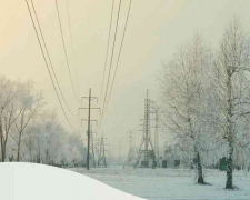 Сильний сніг і вітер - тисячі людей на Запоріжжі лишилися без світла через негоду