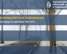 Мокрий сніг і промерзлий ґрунт: як незвичні погодні умови вплинули на озимі в Запорізькому районі