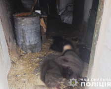 Мешканець Запорізької області зарубав свого односельця сокирою та намагався спалити тіло