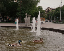 Короткочасні дощі та тепле повітря — якою буде погода в Запоріжжі наприкінці травня