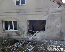 Мешканці Запорізької області отримали поранення, коли рятували корову від обстрілів - подробиці