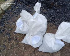 Нечесні поставки для закладів освіти: посадовця на Запоріжжі судитимуть за розтрату коштів