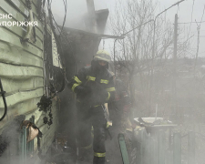 Під час пожежі в приватному будинку Запоріжжя надзвичайники врятували кота. Фото: ДСНС