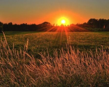 Тепло і без опадів – що прогнозують синоптики у Запоріжжі найближчими днями