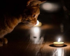Субота без світла – за кількома адресами у Запоріжжі вимкнуть електроенергію 27 квітня