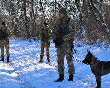 Шукали з собаками: мешканець Запоріжжя намагався нелегально перетнути кордон та заблукав у горах