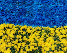 Культурний фронт: які заходи можна відвідати у Запоріжжі до Дня Незалежності 