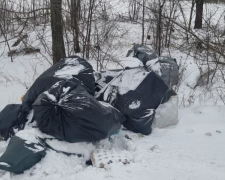 Чорні на білому: між селами у Запорізькій області екологи знайшли мішки зі сміттям