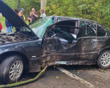У Запоріжжі BMW влетів у дерево - постраждали водій та пасажирка (фото)
