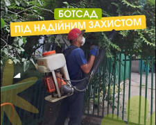 Нашестя сарани в Запоріжжі - ботсад вживає заходів для збереження рослин (фото)