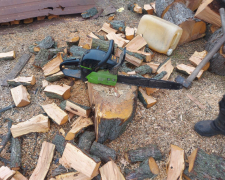 Незаконна вирубка дерев - у Запорізькому районі спіймали порушника (фото)