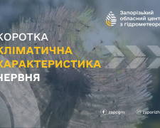 Тепліше та сухіше, ніж зазвичай - синоптики спрогнозували, якою буде погода в Запоріжжі у червні 