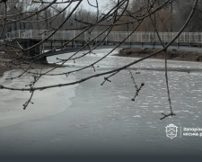 Як виглядає улюблений парк запоріжців взимку - фото