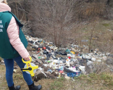 В Олександрівському районі Запоріжжя виявили сміттєзвалище - фото