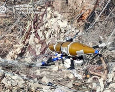 На Запорізькому напрямку прикордонники знищили сім російських дронів – фото