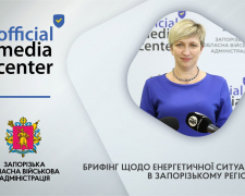 Запорізькі енергетики за березень енергетики повернули світло сотням  тисяч абонентів, фото: ЗОДА
