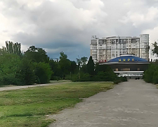 Вшанували пам&#039;ять Героя - у парку в центрі  Запоріжжя висадили кущі лаванди 