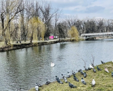 По-весняному мінлива: якою буде погода в Запоріжжі 23–25 березня