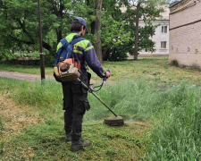 Лежала у траві - у запорізькому дворі виявили пристрій, схожий на гранату (фото)