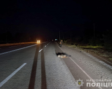 На трасі під Запоріжжям водій іномарки на смерть збив військового та втік з місця ДТП (фото)