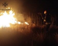 У Запоріжжі та області розпочався "сезон" пожеж сухої рослинності