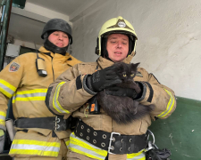 З-під завалів зруйнованого будинку в Запоріжжі врятували кошеня - фото, відео