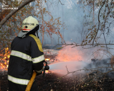 Вогонь на Хортиці - рятувальники вже другу добу борються з наслідками масштабної пожежі (фото)