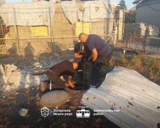 Провалився під землю - у Запоріжжі врятували песика, який впав у яму (фото)