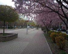 Бульвар Марії Примаченко у Запоріжжі, фото Світлани Олійник