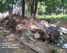 Гори мотлоху - в центрі Запоріжжя виявили сміттєзвалище поблизу парку (фото)