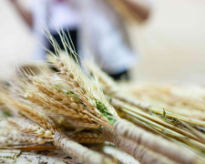 Різдвяна магія - у запорізькому ком’юніті-центрі «Опліч Хаб» відбувся майстер-клас з етнотерапії