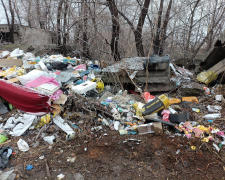 Тонни сміття - екоінспектори виявили масштабне звалище у Запоріжжі (фото)