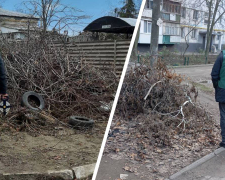 Сміття у дворах: у двох районах Запоріжжя екологи виявили незаконні звалища біля житлових будинків (фото)