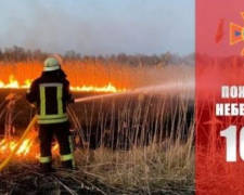 За добу у Запорізькій області було багато пожеж на відкритій території