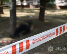 Стрілянина серед білого дня - на вулиці у спальному районі Запоріжжя вбили чоловіка (фото)