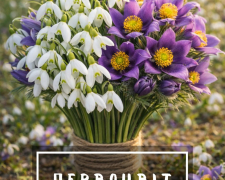 Екологи нагадали запоріжцям, чому не можна зривати первоцвіти, фото: Держекоінспекція Південного округу 