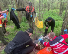 Шукали з собаками кілька днів - на Запоріжжі пенсіонер заблукав у лісі (фото)